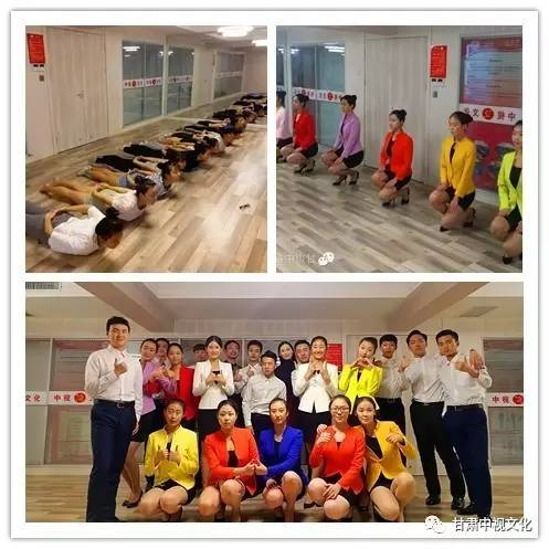 五年雙桂冠，深耕教育鑄就專業典范